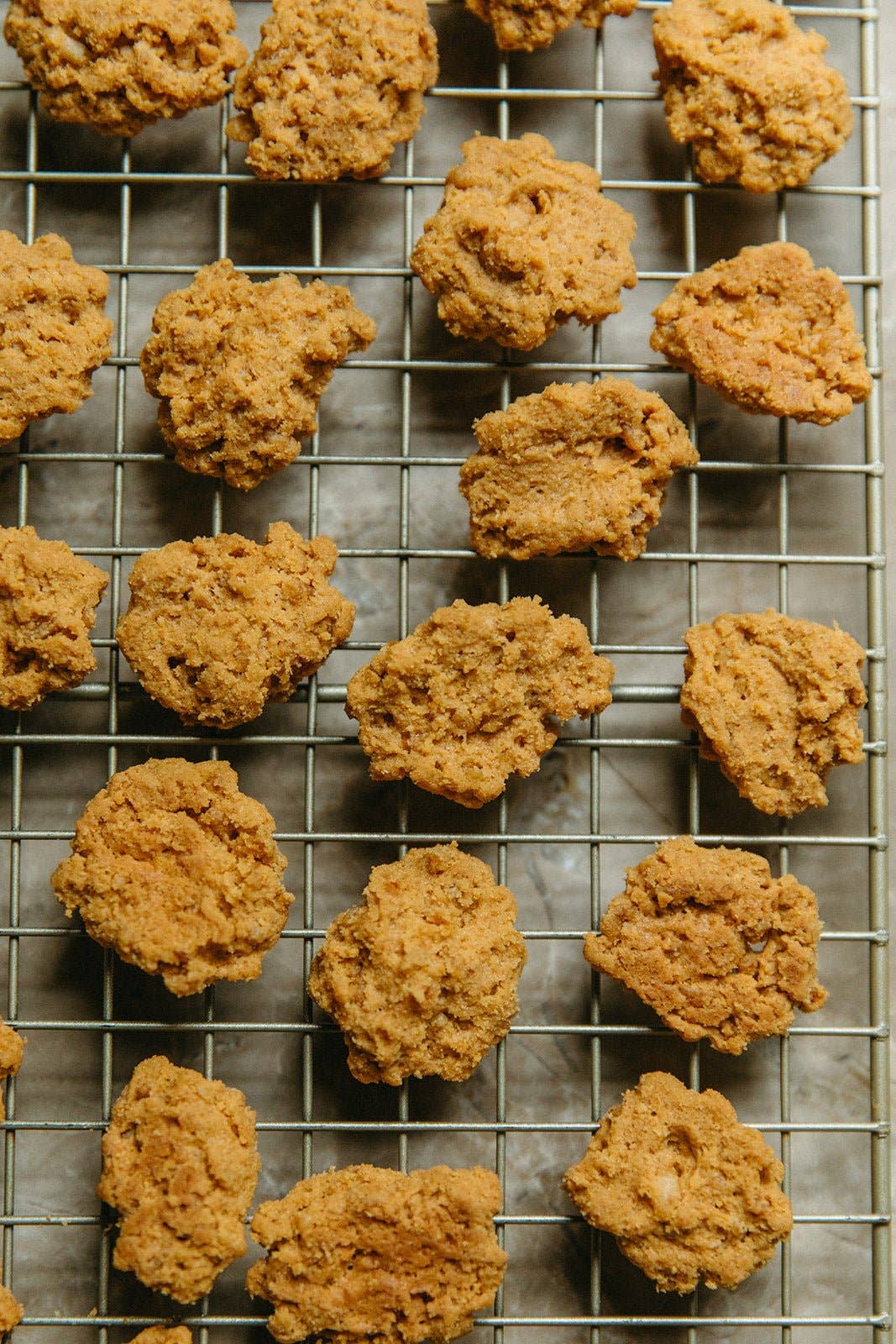Samples (Gluten Free Original Sharp Cheddar) - 15 oz